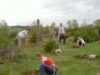 Consiliul Judetean Prahova a demarat proiectul "Imbunatatirea calitatii mediului prin impadurirea unei suprafete de 29 ha teren agricol degradat in comuna Ciorani, judetul Prahova