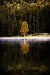 lacul Sf Ana