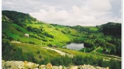 proiect Rosia Montana