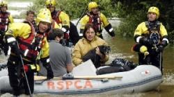 RSPCA