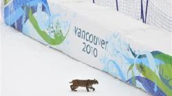 Vancouver