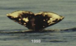 1998
