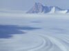 animale sub gheata