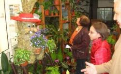 aranjamente florale
