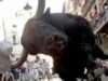 barbat calcat de taur