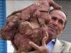 cartof gigant cartof gigant