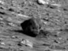 craniu12thumbnail1.jpg