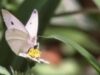 Agircultorii primesc subventii pentru protejarea biodiversitatii