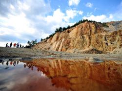 proiectul rosia montana