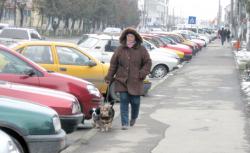 sa curete dupa animale