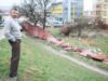 Brasov fara parcuri
