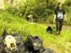 ecologizare voluntari