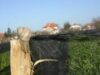 ferme de crestere a melcilor