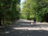 spatiu verde braila