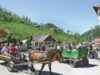 turism ecologic