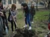 voluntariat liceu