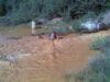 accident ecologic