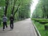 alergarea in parc Exerciţiile fizice ţin creierul tânăr