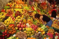 alimente organice