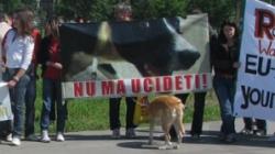 asociatia cutu-cutu
