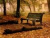 banca in parc