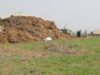 dejectii de la vaci Ajutor financiar nerambursabil acordat fermelor pentru constructia unei statii pilot de biogaz