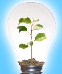 green business
