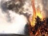 incendii vegetatie