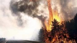 incendii vegetatie