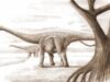 raiul dinozaurilor Studiu: Gazele emise de dinozaurii sauropozi ar fi fost suficiente, prin producerea de metan, pentru a determina o încălzire climatică
