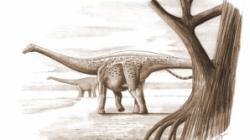raiul dinozaurilor