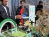 tabara ecologica Tabara Nationala de Proiecte de Mediu la Iasi