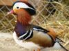 zoo privat