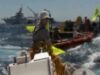 activistii greenpeace
