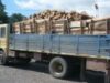 camion cu lemne