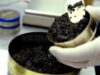 caviar tratament de lux caviar tratament de lux
