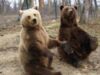 cristi_si_lidia