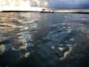 Deepwater Horizon