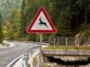 WWF critică unda verde a autorităţilor române pentru DN 66A WWF critică unda verde a autorităţilor române pentru DN 66A