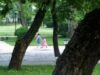 parcul Dumbravita