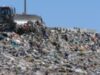 Două foste rampe de gunoi din Arad vor fi acoperite cu iarbă și copaci