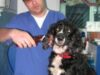 frizerie canina frizerie canina