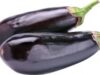 vinete