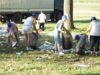 ecologizare in arges
