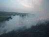incendiu de vegetatie Incendiu în Parcul Naţional Defileul Jiului