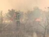 Au mers doi kilometri pe jos, pentru a opri un incendiu de padure