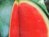 pepene verde de Gottlob