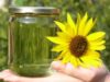 biodiesel biodiesel