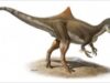 dinozaur cu cocoasa