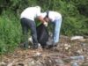 ecologizare ecologizare